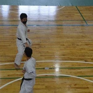 4b3df34fb9dfa6c4e3527abf816c07a8-opt.jpg